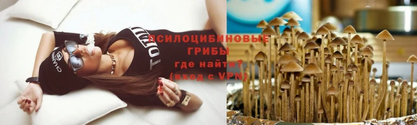 спиды Абдулино