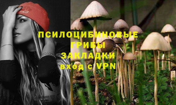спиды Абдулино