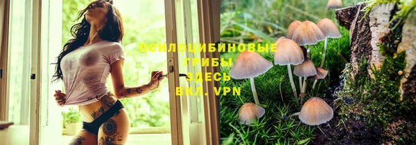 a pvp Пестово
