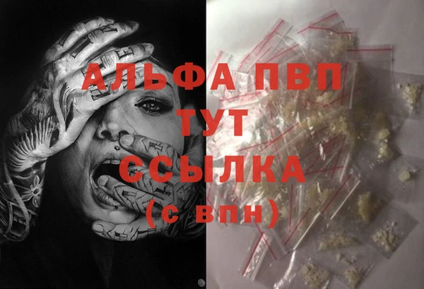дурь Пересвет